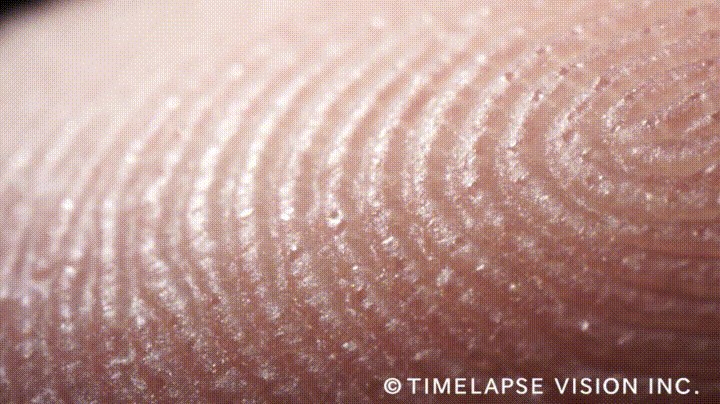 Ubrzana snimka pokazuje kako znojenje zapravo izgleda