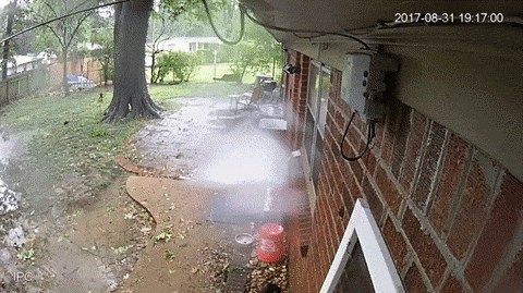 Ovo se zove sreća: Osoba izašla van s psom pa se bacila u blato kako bi spasila život!