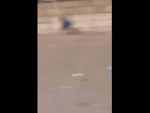 GIF: Ovo bi dijete sada bilo mrtvo da se nešto nije ispriječilo bujici na put!