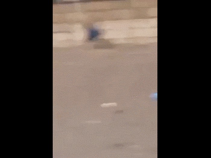 GIF: Ovo bi dijete sada bilo mrtvo da se nešto nije ispriječilo bujici na put!