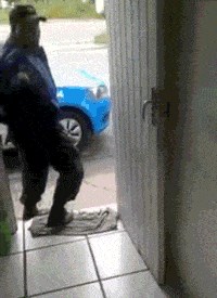 Ovaj pas dobro zna što je skrivio