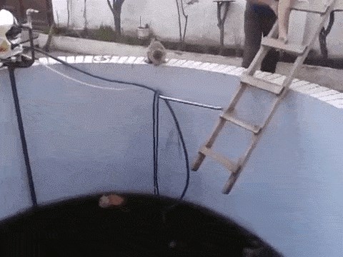 Tko drugom jamu kopa, sam u nju upada!