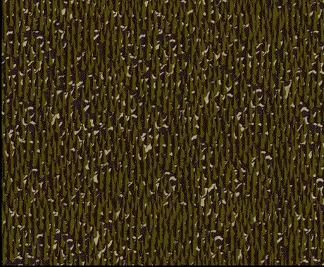 GIF: Što se događa kada uništavamo prirodu