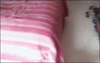 Ovaj pas zna što želi, a to zasigurno nije kupanje