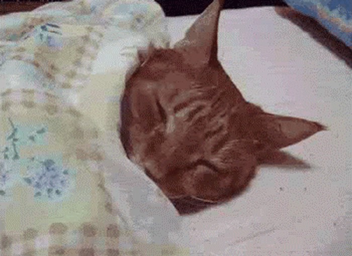 Pusti me još samo pet minuta!