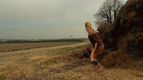 GIF: Može li se avion oboriti motikom?
