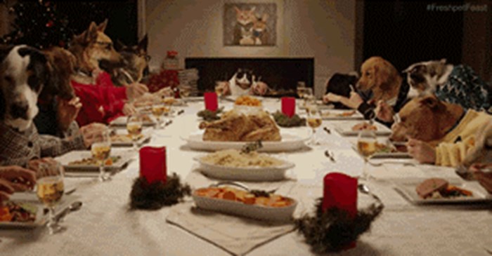 Blagdanske večere su uvijek najljepše, a ovako to za Božić rade životinje
