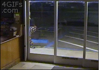 GIF: Lopov nesposobniji i od političara!