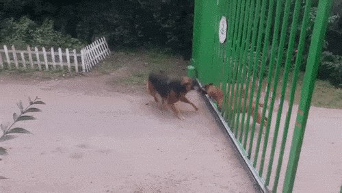 Ono kad se posvađaš na internetu