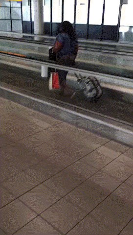 GIF: Tvrdoglavi ljudi nikada ne odustaju