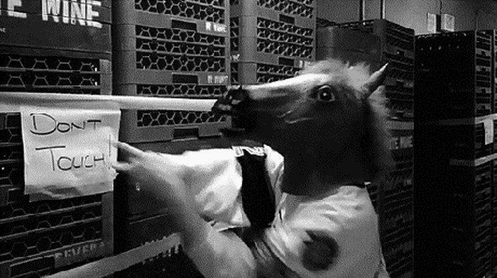 GIF: ONO kad se baš, baš ZAINATIŠ!