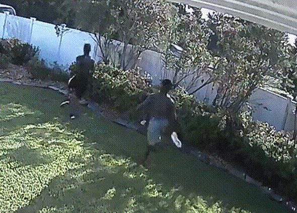 TRAGIKOMEDIJA Kako američki policajci svladavaju ograde