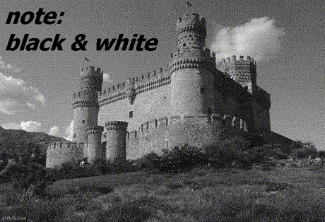 NEVJEROJATNA OPTIČKA ILUZIJA: Crno-bijela slika se pretvara u sliku u boji!