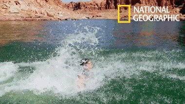 GIF: Otkriven čovjek dupin!