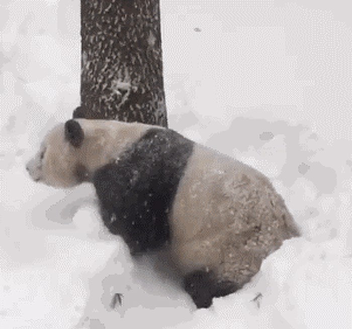 GIF: To se zove UŽITAK