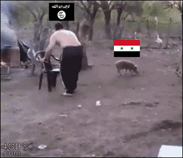 Rat u Siriji prikazan na vrlo realan način - pomoću svinja!