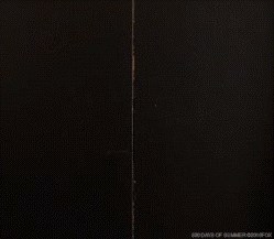 Nešto poput radne subote