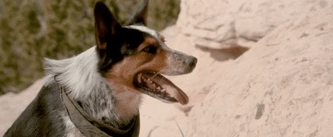 Ono kada ti je neugodno zbog nekog drugog