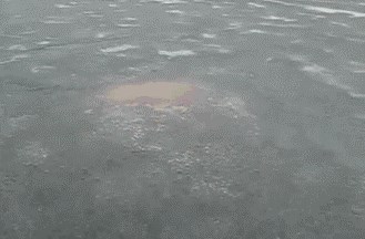 GIF: Kako se rađaju Rusi?