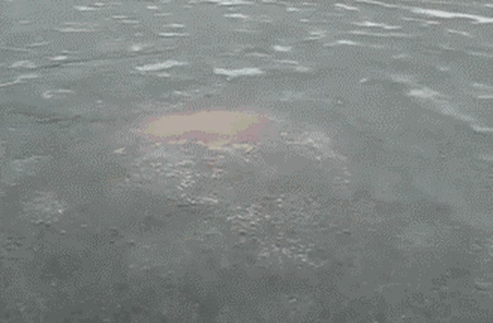 GIF: Kako se rađaju Rusi?