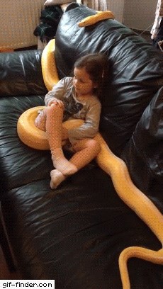 GIF Ova je djevojčica hrabrija od većine odraslih ljudi