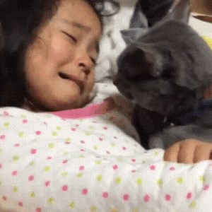 Maca nije mogla svoju malu vlasnicu gledati uplakanu i tužnu