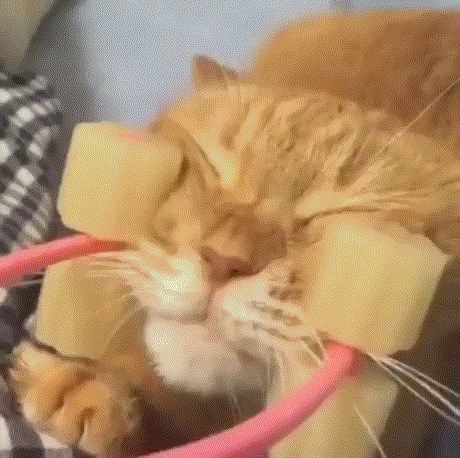 GIF: Ova naprava će vašu mačku učiniti presretnom