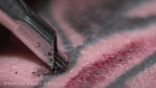 Usporena snimka: Evo kako se zapravo rade tetovaže