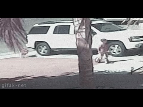 GIF: I mačke spašavaju živote!