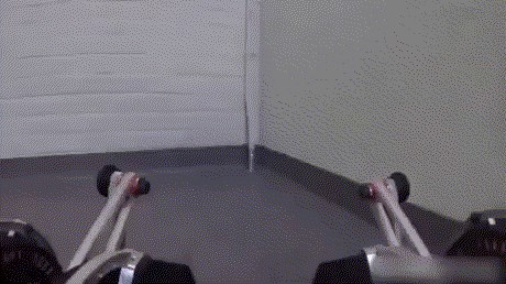 Ovaj robot koji podsjeća na psa, zna otvoriti vrata!