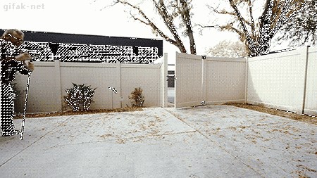 Kako na zanimljiviji način očistiti lišće iz dvorišta