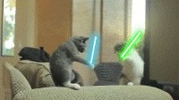 GIF: Starwars mace