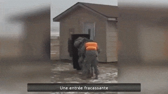 GIF: Šeprtljavi vojnici iz crtića 3.