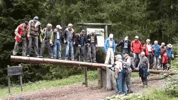 GIF: BRUTALNA GLUPOST NA DJELU!