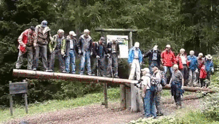 GIF: BRUTALNA GLUPOST NA DJELU!
