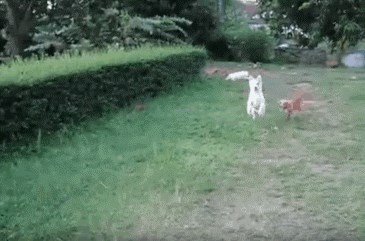 Ono kad hodaš i gledaš u telefon