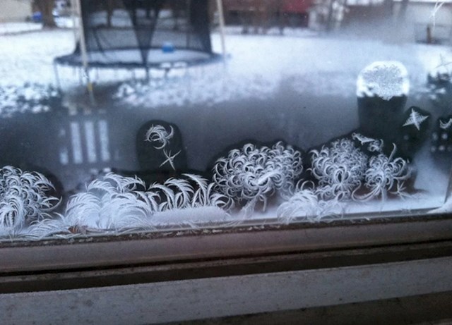 Mraz je nacrtao ove zanimljive slike na prozoru.