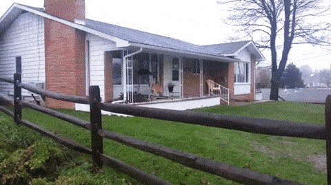 Vrijeme nije bilo pogodno za šetnju pa je gazda svome psu pripremio iznenađenje ispred ulaznih vrata