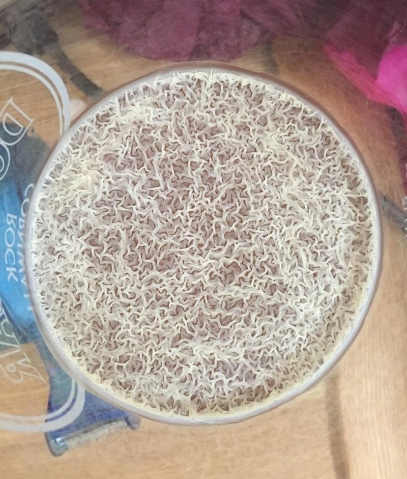 "Na mom tjedan dana starom pivu ugledao sam ovaj uzorak."