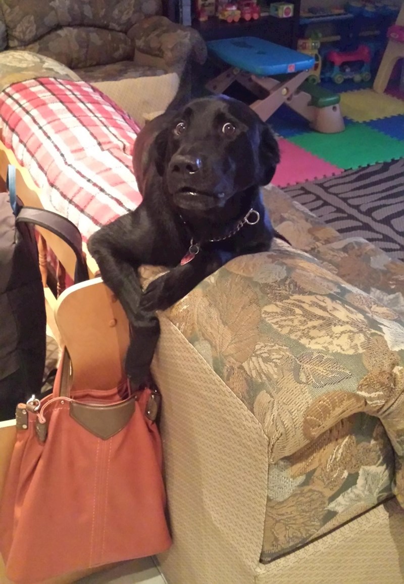 "Uhvatio sam ga kako pokušava ukrasti nešto iz mamine torbe."