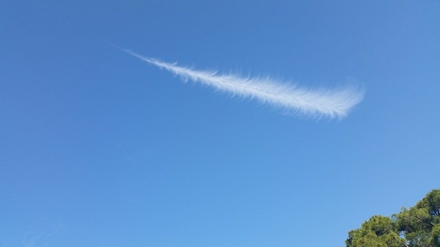 Ovaj oblak izgleda kao pero.