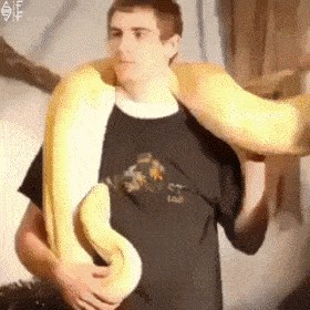 Nakon ovog slikanja izraz "piton među nogama" dobio je sasvim novo značenje