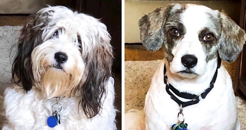 15 zanimljivih usporedbi koje dokazuju da su drastične promjene itekako moguće