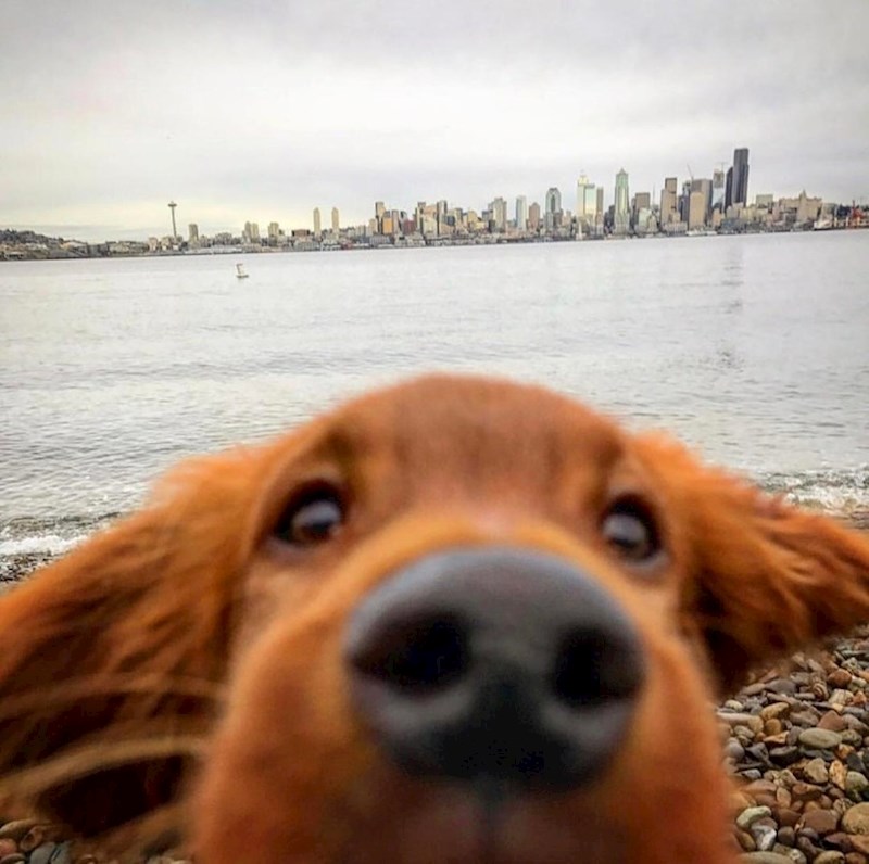 "Zar ja ne izgledam puno ljepše od tog dosadnog grada?"