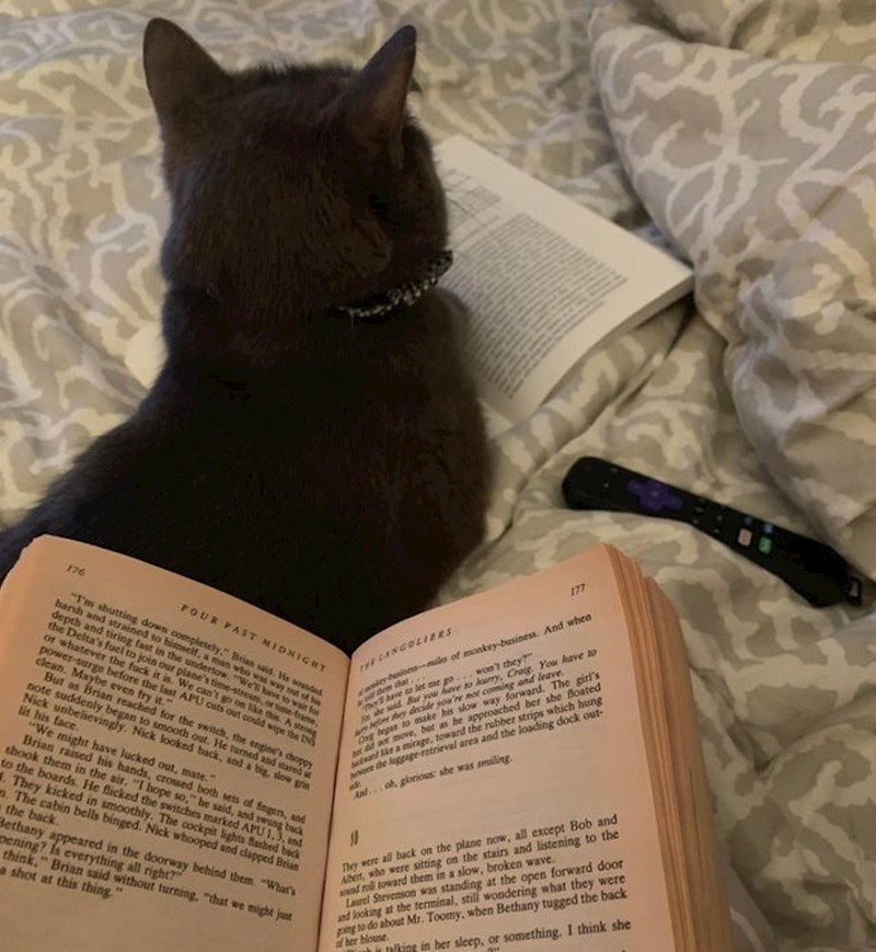 "Zbog ove male budale moram imati i drugu knjigu pri ruci koja će joj odvući pažnju od one koju čitam."