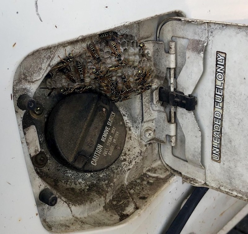 "Posudio sam kamion od susjeda koji ga gotovo nikad ne vozi. Htio sam natočiti gorivo i vidio ovo."