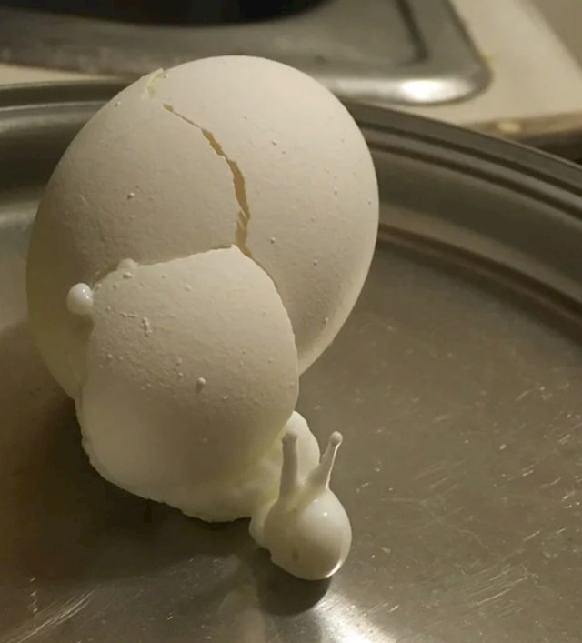 Jaje je eksplodiralo i pretvorilo se u puža?
