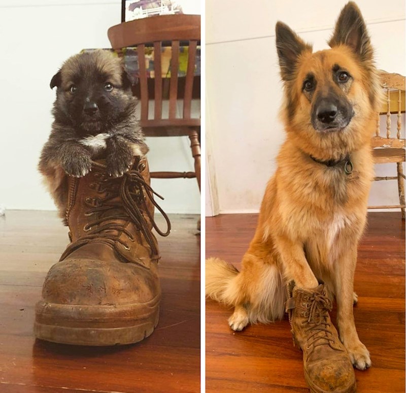 Ista čizma, 3 godine kasnije.