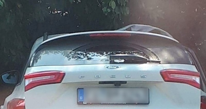 Nekim turistima ne pada na pamet plaćati skupe apartmane, pogledajte što su ovi Nijemci smislili