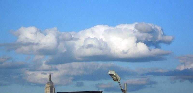 Za kim trči ovaj pas?